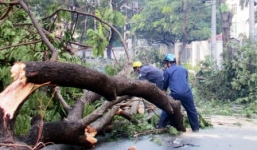 Mưa lớn, cây xanh bật gốc đè chết người ở trung tâm TP.HCM