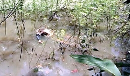 Sát hại bạn gái nhiễm HIV rồi phi tang xuống ao