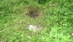 Thanh niên chết bí ẩn sau khi trả lại 100 triệu nhặt được