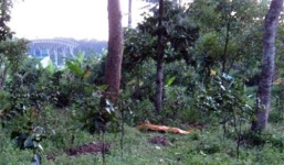 Hy hữu: Đôi nam nữ bị cướp quần khi đang… hành sự