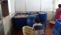 Rùng mình cơ sở sản xuất thức ăn gia súc chế biến thực phẩm cho người