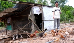 Bi kịch chàng trai cưới vợ có... 3 năm sinh