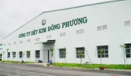Tham nhũng, gây thất thoát gần 1000 tỷ đồng tại Công ty Dệt kim Đông Phương