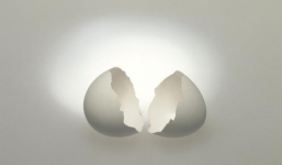 Tỷ phú trứng gà Ukraine muốn kiện chính quyền Crimea