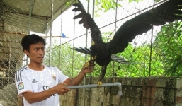 Đại bàng đen bay vào nhà dân, được trả giá 5.000 USD