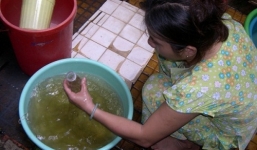 Hàng triệu dân đô thị uống mầm bệnh mỗi ngày