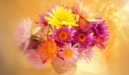 Tử vi ngày 22/8/2014 theo cung hoàng đạo