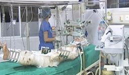 2 chiến sĩ bị thương trong vụ máy bay rơi ở Hòa Lạc vẫn đang nguy kịch