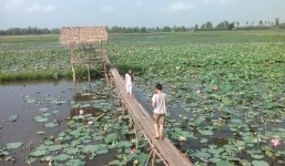  “Bến mãi đợi đò”: Câu chuyện tình yêu đầy nhân văn