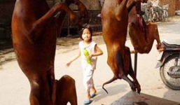 Chia tay bạn trai vì ăn thịt chó