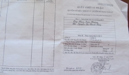 Giả mạo giấy tờ để chạy trường