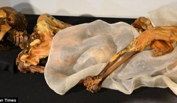 Xác ướp công chúa Siberia 2.500 tuổi mang hình xăm, biết trả thù?