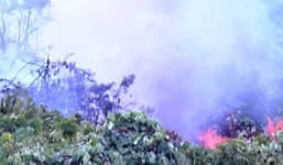 Cháy lớn cùng nhiều tiếng nổ như bom ở rừng Nam Hải Vân 