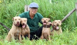 Thả chó săn thú giữa... phố Hải Phòng