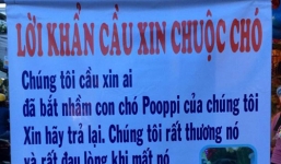 Treo băng rôn khẩn cầu xin chuộc chó bằng mọi giá