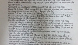 Ai là người đứng tên mua hai cây gỗ sưa triệu đô của Minh 'sâm'?