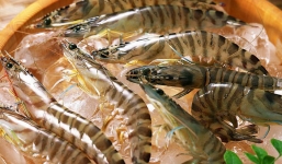 Thời điểm tuyệt đối không mua hải sản