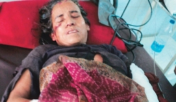 Trận chiến sinh tử người phụ nữ 56 tuổi giết chết một con báo trong 30 phút