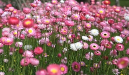 Tử vi ngày 27/8/2014 theo cung hoàng đạo