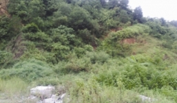 Hoang lạnh nghĩa trang dành cho tử tù