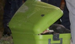 Mẹ đánh chết con, nhét xác và valy đem giấu trong rừng