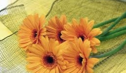 Tử vi ngày 28/8/2014 theo cung hoàng đạo