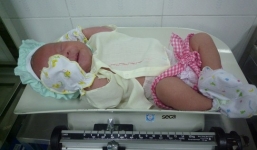 Bé trai 10 ngày tuổi bị bỏ rơi nằm khóc thét bên gốc cây