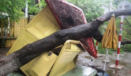 Mưa lớn, cây cổ thụ bật gốc đè bẹp bốt cảnh sát giao thông