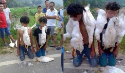 Ảnh thanh niên trộm vịt bị làm nhục 