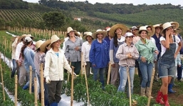 “Thung lũng người đẹp” ở Brazil mời gọi đàn ông độc thân tới sống