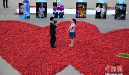 Màn cầu hôn bằng 99.999 quả ớt gây xúc động cộng đồng mạng