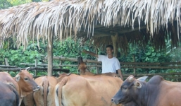 Bài 1: Bước chân vào thế giới “vàng thổ phỉ”