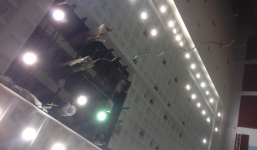 Sập trần nhà thi đấu Phan Đình Phùng, VĐV chạy tán loạn