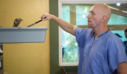 Cận cảnh người đàn ông tay không trích nọc độc rắn nguy hiểm nhất thế giới