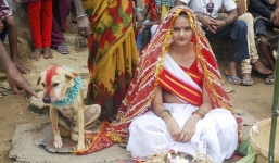 Cô dâu xinh đẹp phải cưới chú chó làm chồng để hoá giải lời nguyền