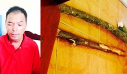 Đánh chết bố, mẹ, làm trọng thương em dâu để lấy tiền mua rượu