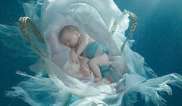 Hợp đồng kiếm 'quý tử' của nữ sinh viên và đại gia