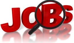 Mạng quảng cáo trực tuyến Ad360 tuyển nhân viên kinh doanh và phụ trách đối tác