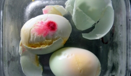 Phát hiện trứng vịt có màu đỏ lạ