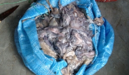 Phát hiện xưởng tẩy mực thối thành tươi bằng hóa chất ở gần sông Hồng