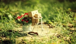 Tử vi ngày 6/9/2014 theo cung hoàng đạo