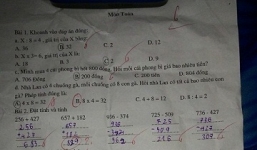 Bài toán tính gà của Tiểu học gây nhiều tranh cãi “nảy lửa”