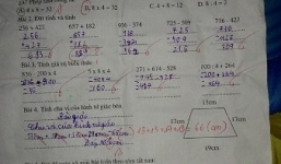 Bài toán lớp 3 về tính số lượng gà: Các chuyên gia giáo dục nói gì?