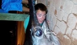 Bắt được cá kiếm dài hơn 4m, nặng 318kg