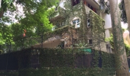 Cây leo 'trèo' biệt thự, mốt mới của nhà giàu Thủ đô