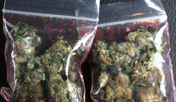 Hy hữu: Bưu phẩm ma túy được gửi đến đúng lúc cảnh sát đang khám nhà