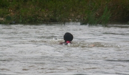 Một phụ nữ bơi 2 tiếng vượt sông đến bệnh viện sinh con