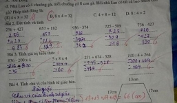 Bài toán lớp 3 về tính số lượng gà: Chủ biên SGK lên tiếng