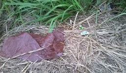 Chợ tình lộ thiên ở quận 2