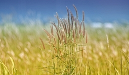 Tử vi ngày 11/9/2014 theo cung hoàng đạo